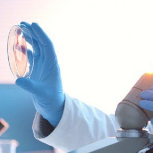 Nhiễm khuẩn Chlamydia là gì? Nguyên nhân gây bệnh, phương pháp điều trị và nguyên tắc phòng ngừa